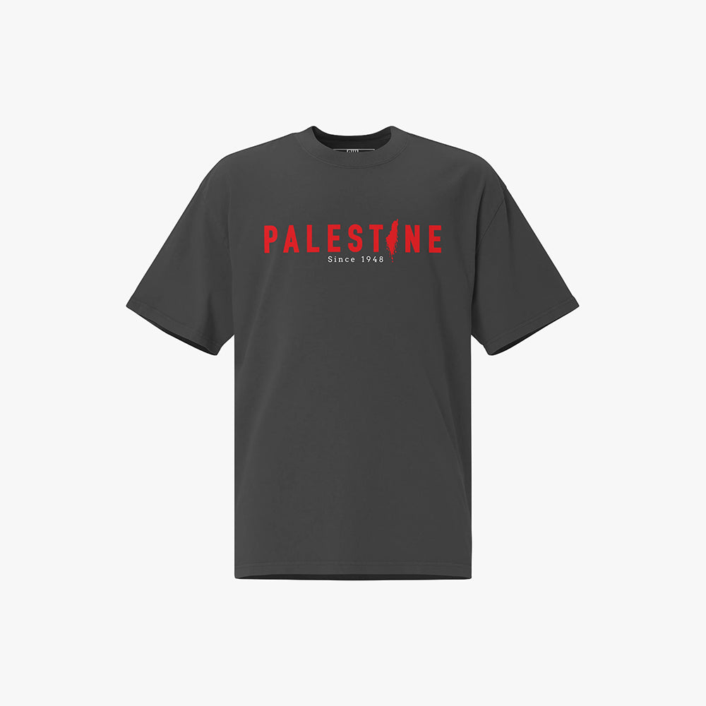 Palestine Since 1948 (Black) - Oversized T-Shirt