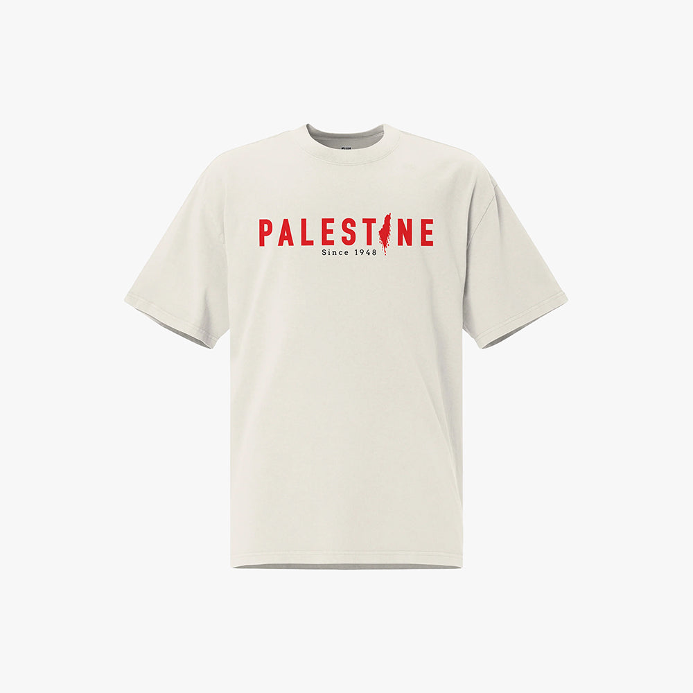 Palestine Since 1948 - Oversized T-Shirt